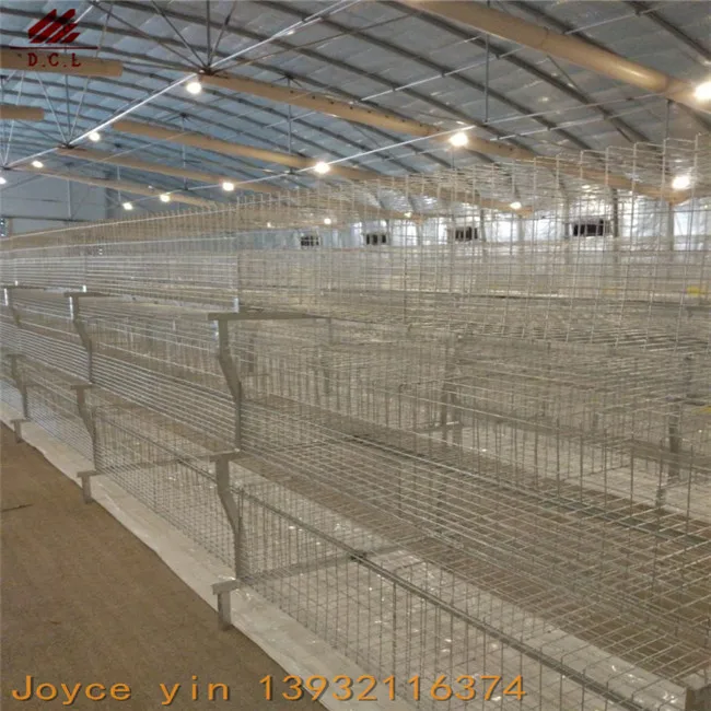Chicken layer battery cage for layer chicken popular in Africa market
