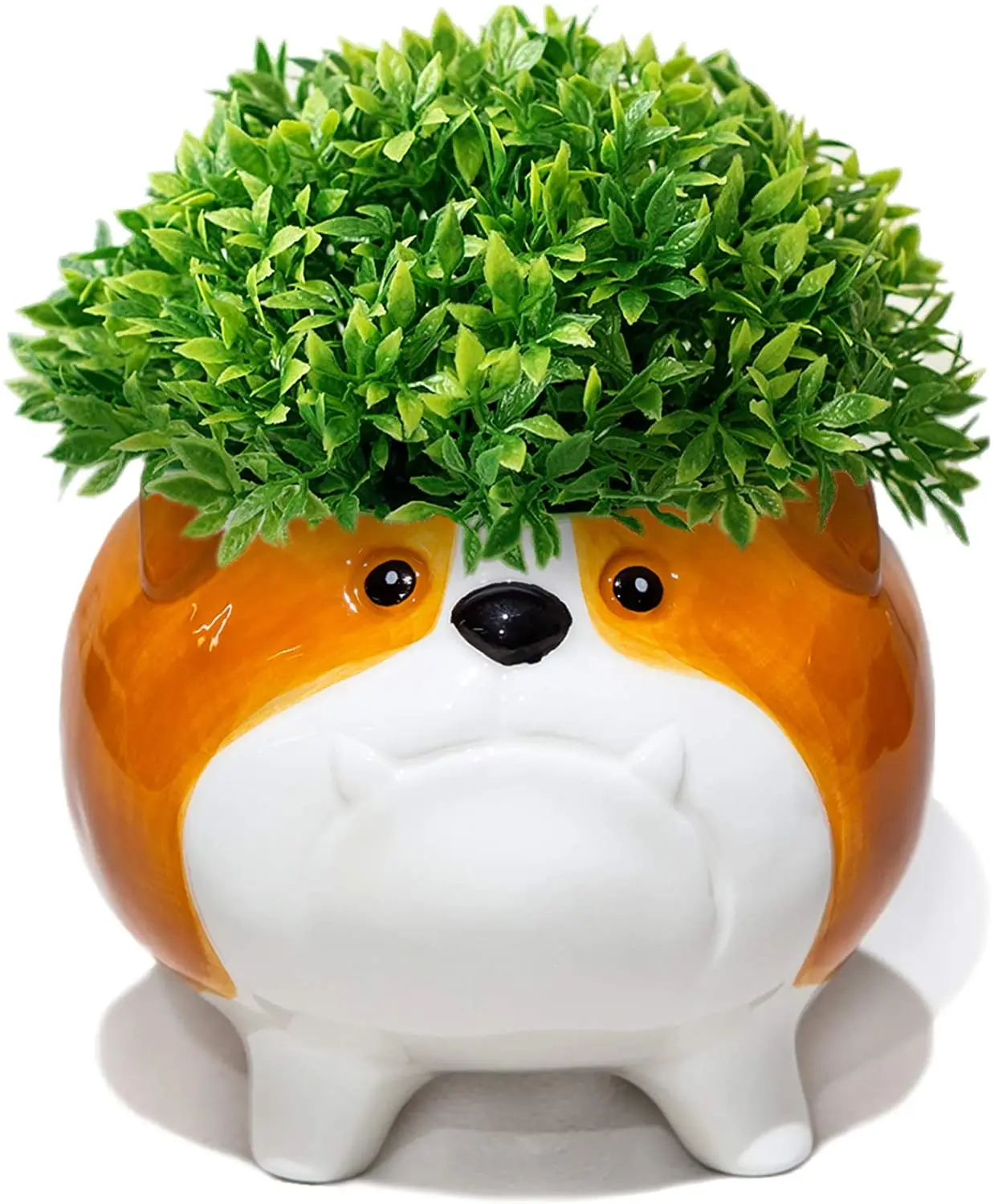 animal plater (4).jpg