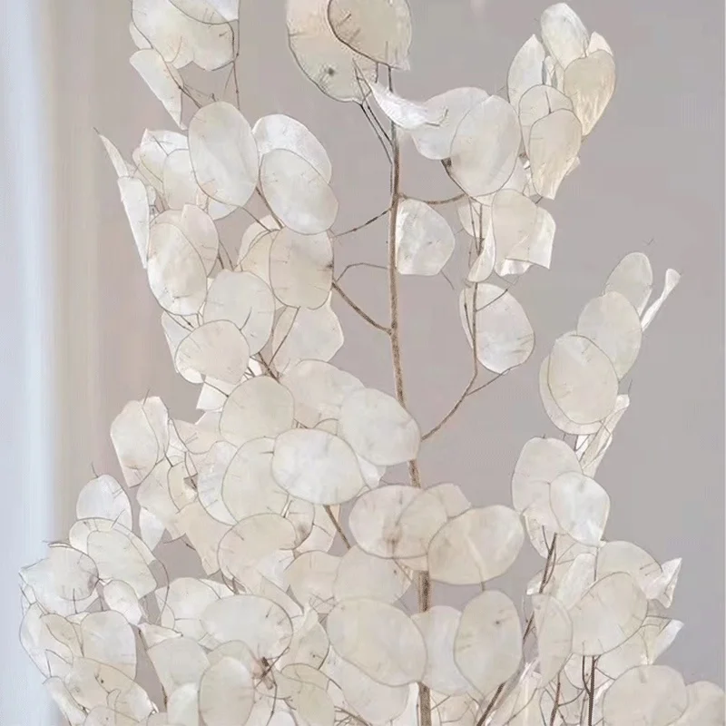 natural dry flower bouquet wholesale preserved decorative real dried flowers lunaria annua