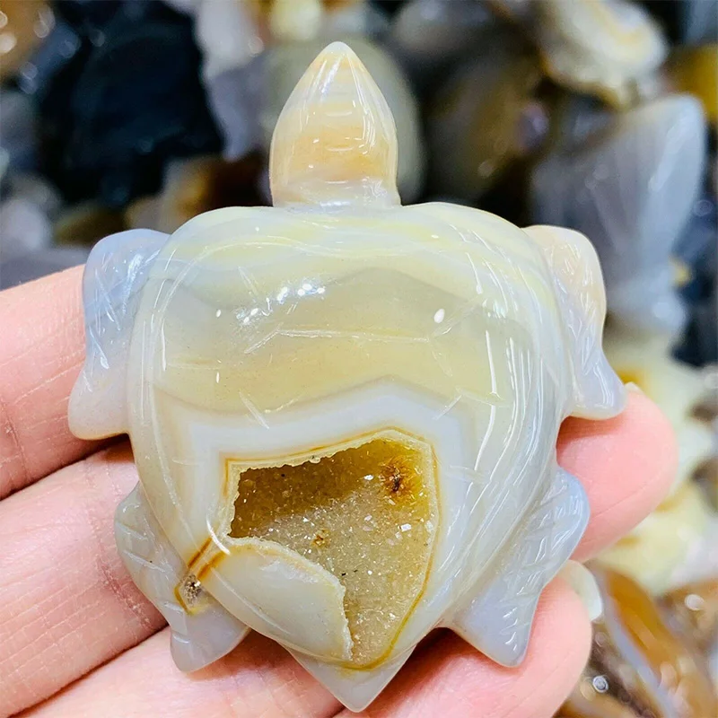 2024 Wholesale Natural Crystal Animals Agate Geode Tortoise Agate Turtle for Decoration