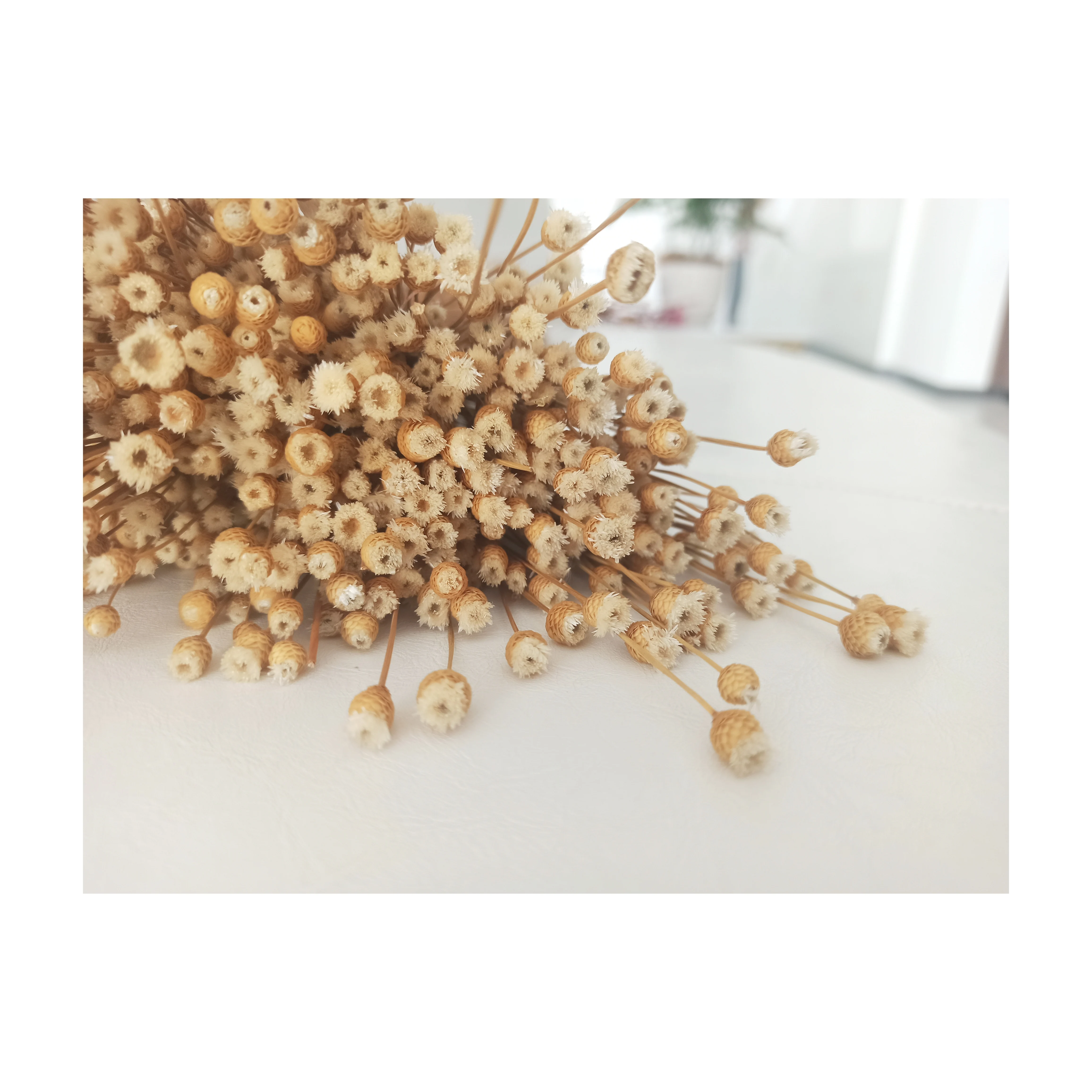 
2020 Hot Selling Cheap Dried Flower Happy For Wedding Decoration 