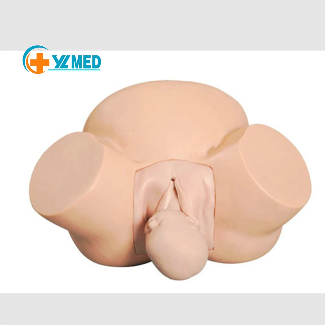 Медицинская научная улучшенная модель для обучения Midwifery медицинская анатомическая больничная школа