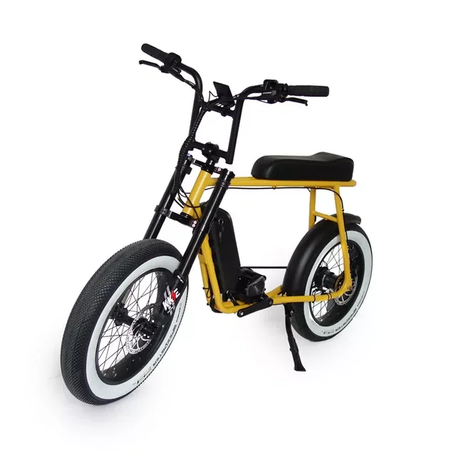 EU USA warehouse Drop shipping 750W 1000W super Fat tire off road Electric Mountain bicycle for Adult