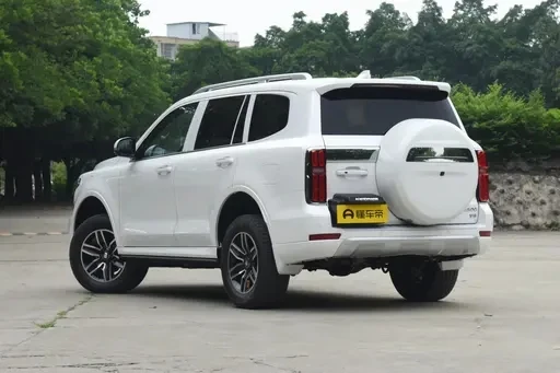 gasline car Tank 500 5 seats 7 seats gasoline 3.0T 48v china manufacturer Best product Hot sale SUV mini car adult