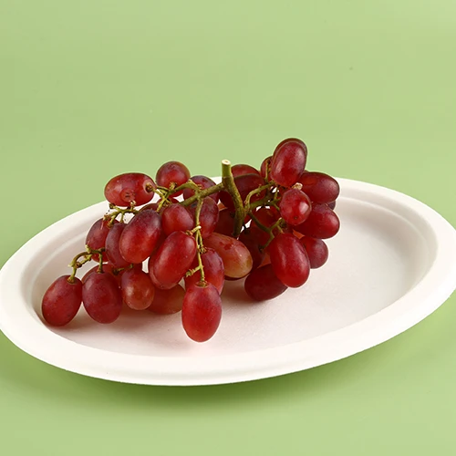 Биоразлагаемые компостируемые тарелки для жома поднос еды ресторанный сахарный тростник одноразовые фрукты 10-дюймовые овальные