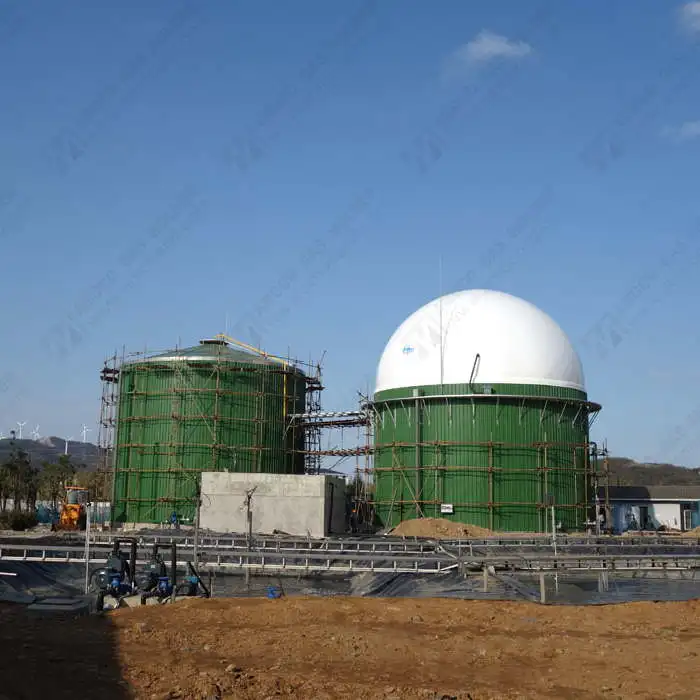 Biogas Digester Roof Balloon