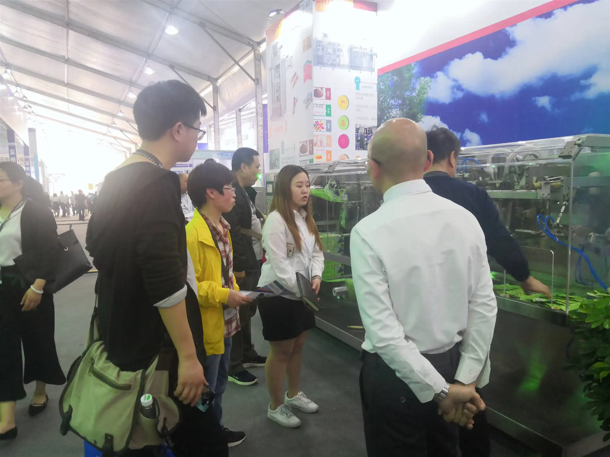 High Speed Vertical 1kg Back Seal Bag Coffee Granule Grain Powder Packaging Machine