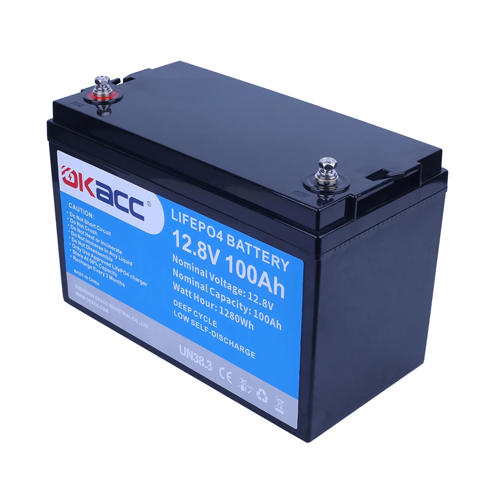 Deep Cycle Lithium Iron Phosphate Batteries Pack built-in BMS 12.8V  Batterie 12V100ah 12V 100Ah Lifepo4 Battery