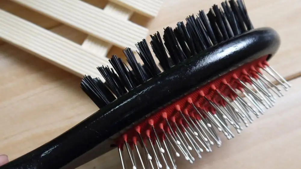 Щетка с щетиной для ухода за шерстью щетка черной деревянной ручкой груминга домашних животных собак кошек щенков пуделей