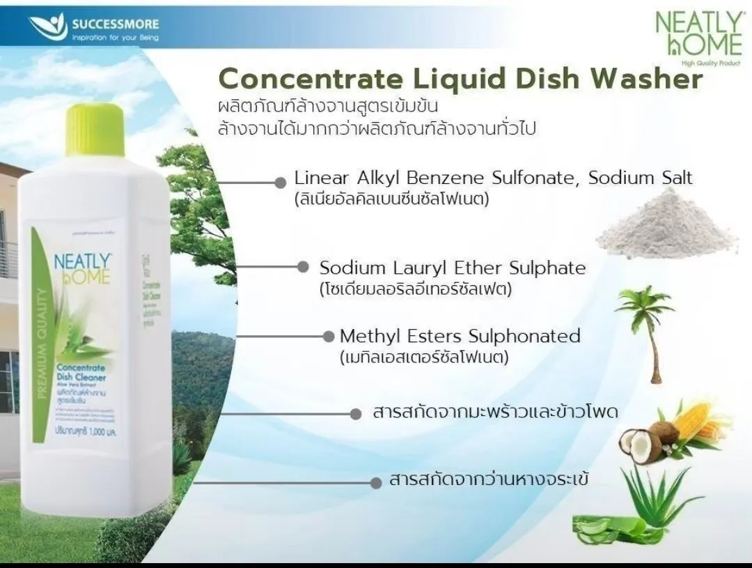 LIQUID DISHWASHER Concentrated Dishwashing Liquid with Detergent Remove Oil Stains From Dishes Wash Vegetables And Fruits