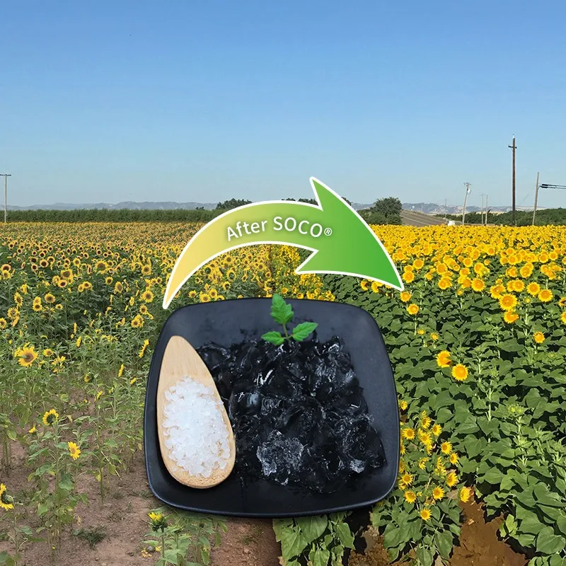 Agricultural Potassium Polyacrylate Super Absorbent Polymer for Agriculture