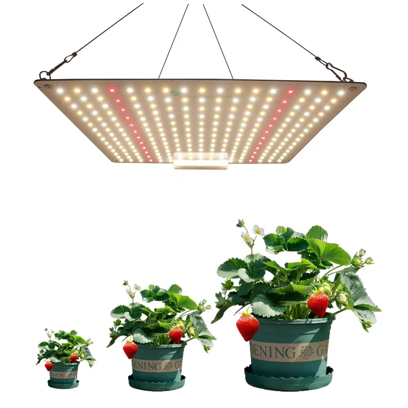 Newspectrum Dimmable Switch Full Spectrum Grow Lamp for Indoor Plant Greenhouse Veg Bloom Grow Light