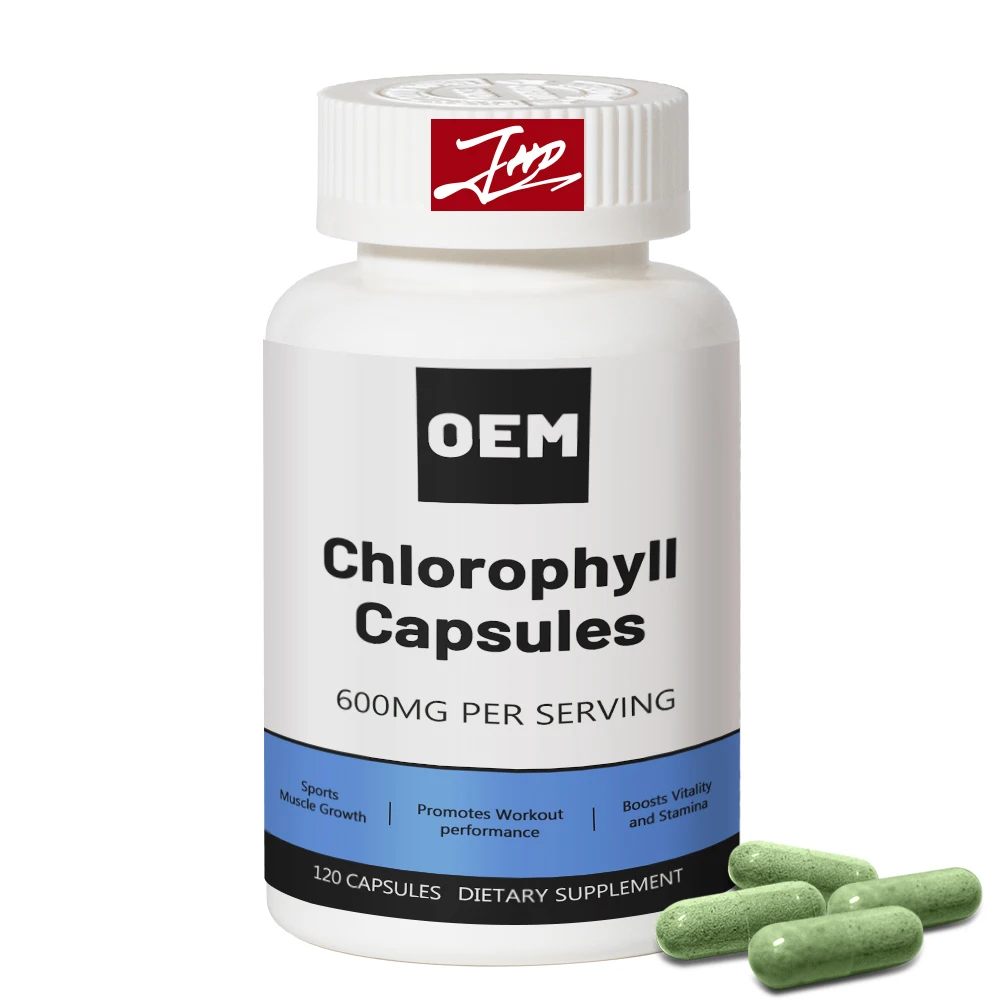 OEM Health Supplement Vegan Chlorophyll Capsules