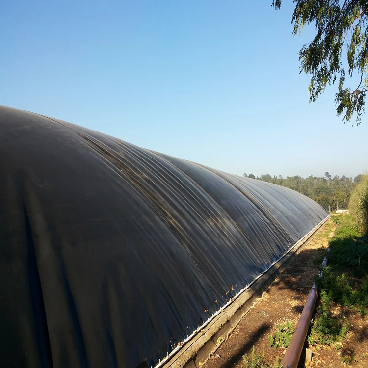 High Density Polyethylene Sheet HDPE Geomembrane for Biogas Containment