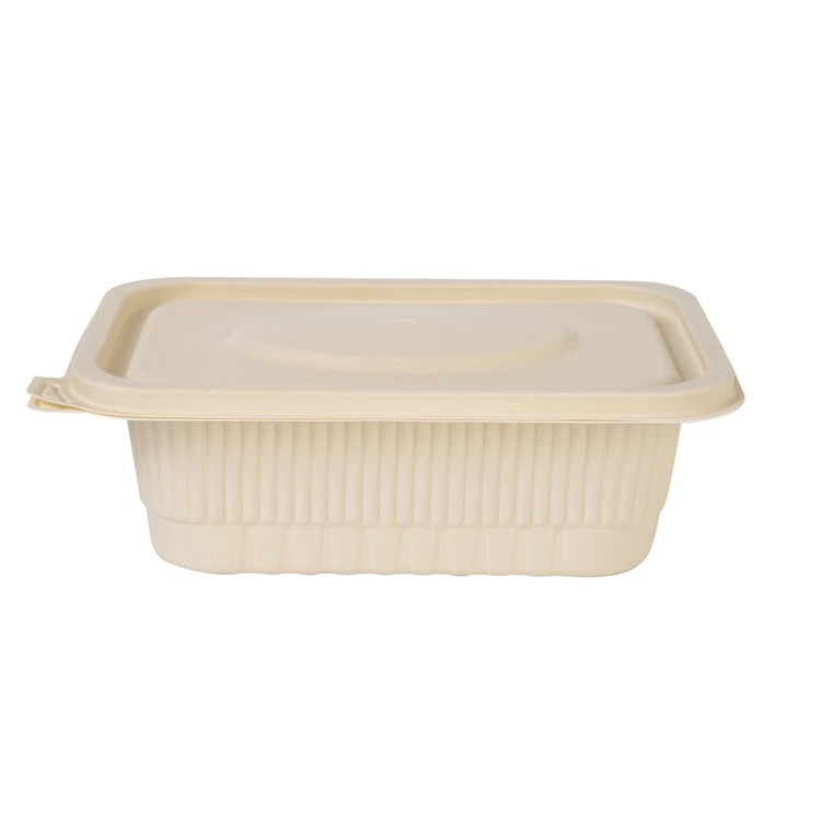 take out food container corn starch Lunch Salad Meal Prep Storage Boxes bagasse clamshell