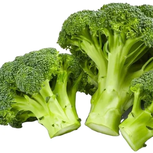 Hot Sale Frozen Broccoli Vegetable