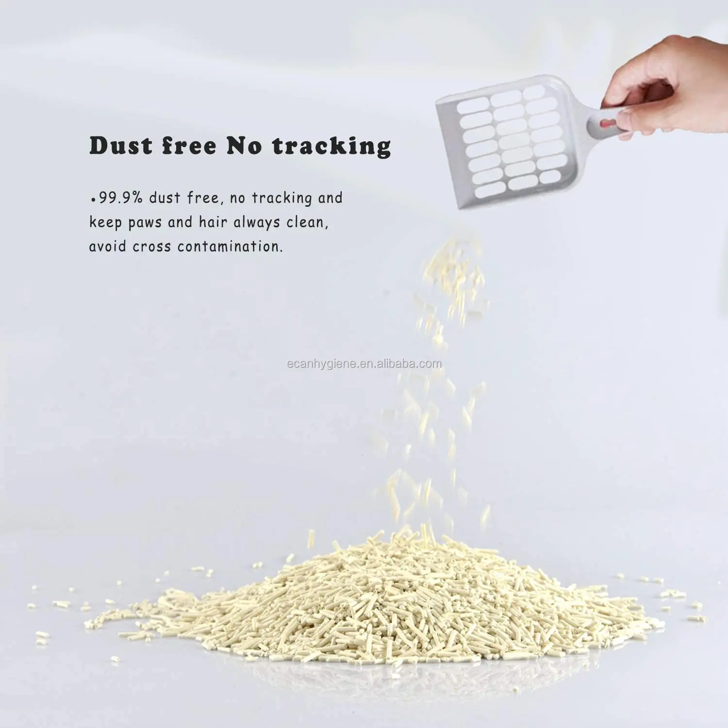 61vT9dsbubL._AC_SL1500_