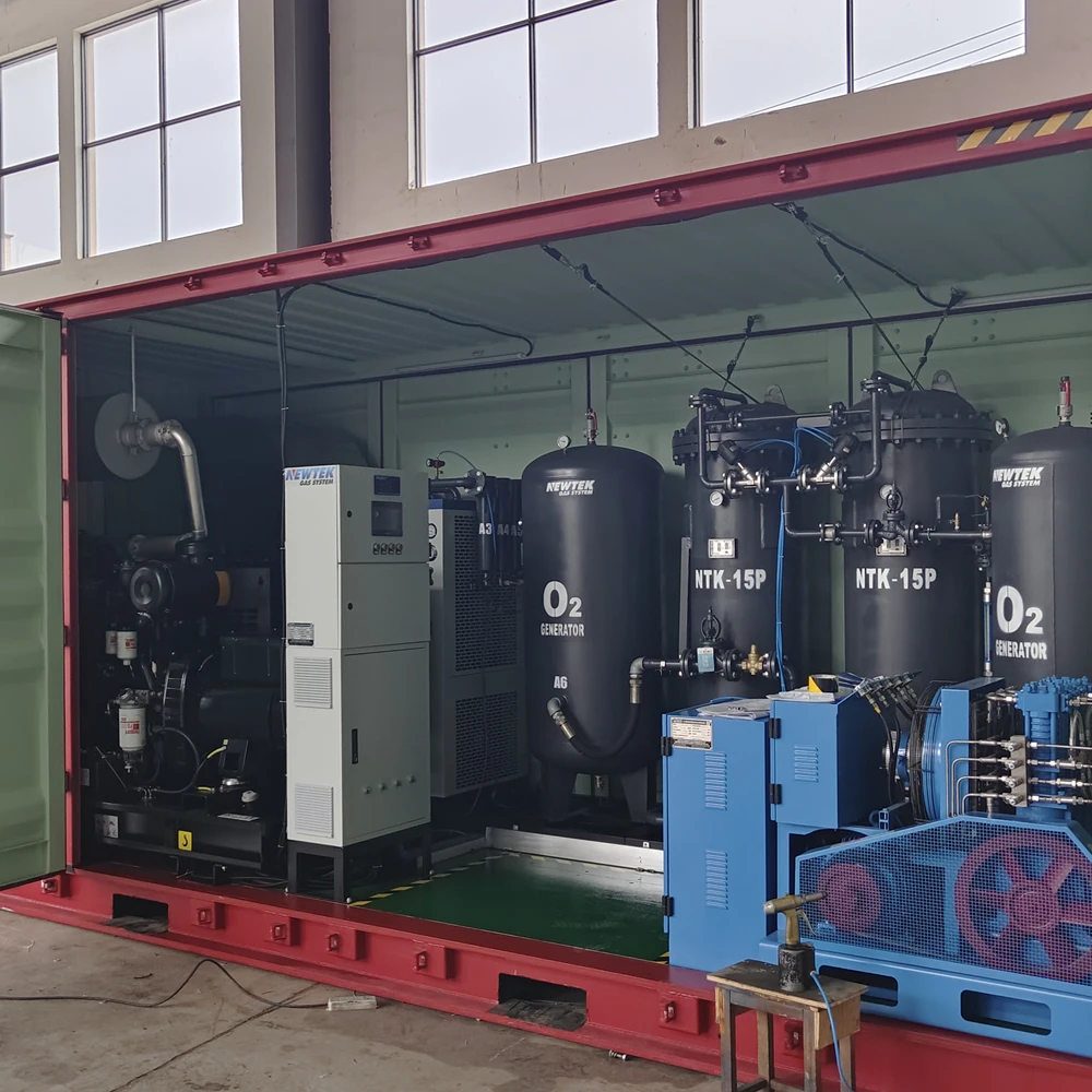 NEWTEK 10Nm3/hr 99% Container type oxygen generator industrial oxygen generator