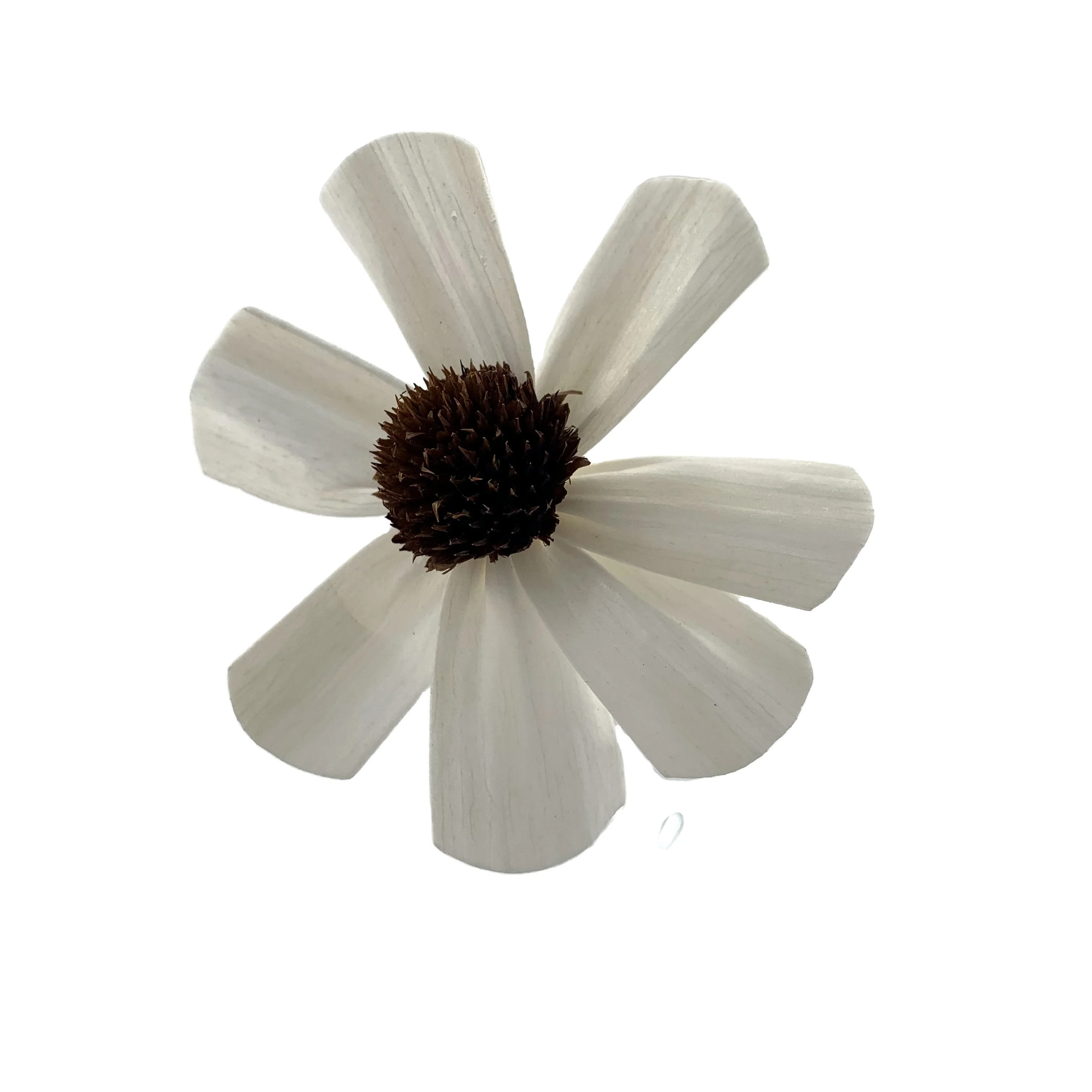 China factory  handmade reed diffuser sola flower dried wood sun Flower with rattan sticks