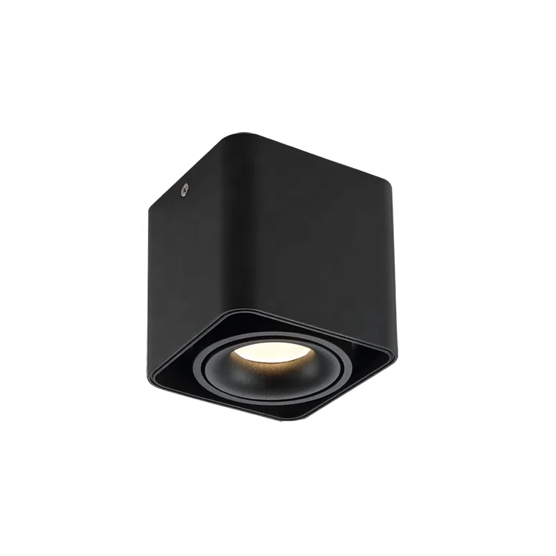 LED Ceiling Surface Mounted Adjustable Beam Angle Spot Light Indoor Lighting 8W/8W*2 Cob High Cri Down