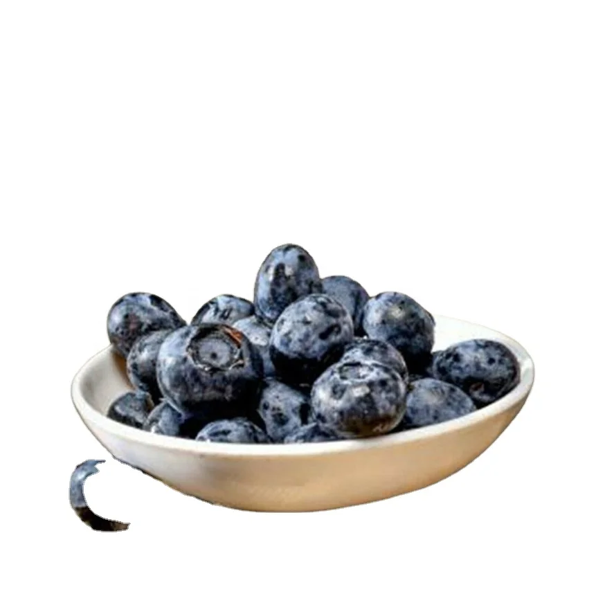 artificial Lifelike Mini Blueberry Fake Decorative Blueberry Fruit