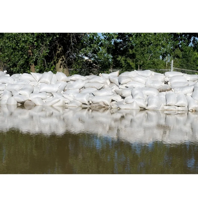 Hot Sale Polypropylene Plastic Packaging Flour Sand PP Woven Bag with String