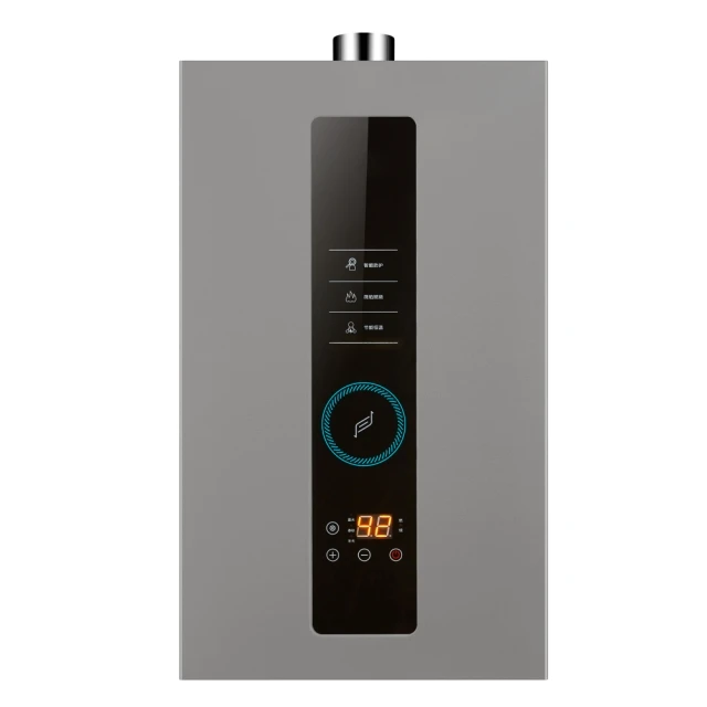 220V Wholesale House use 12L Constant Temperature Propane Portable Water Heaters smart control big display clear check