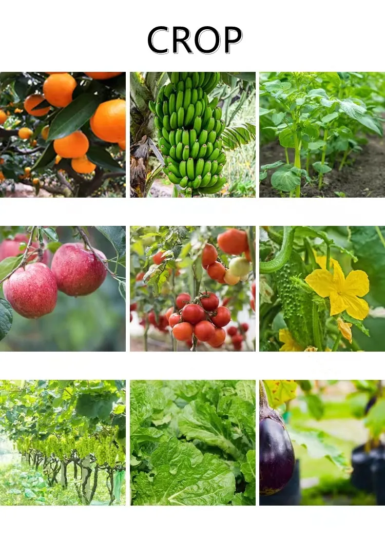 Seaweed fertilizer 100% Seaweed Extract powder, Leaf fertilizer