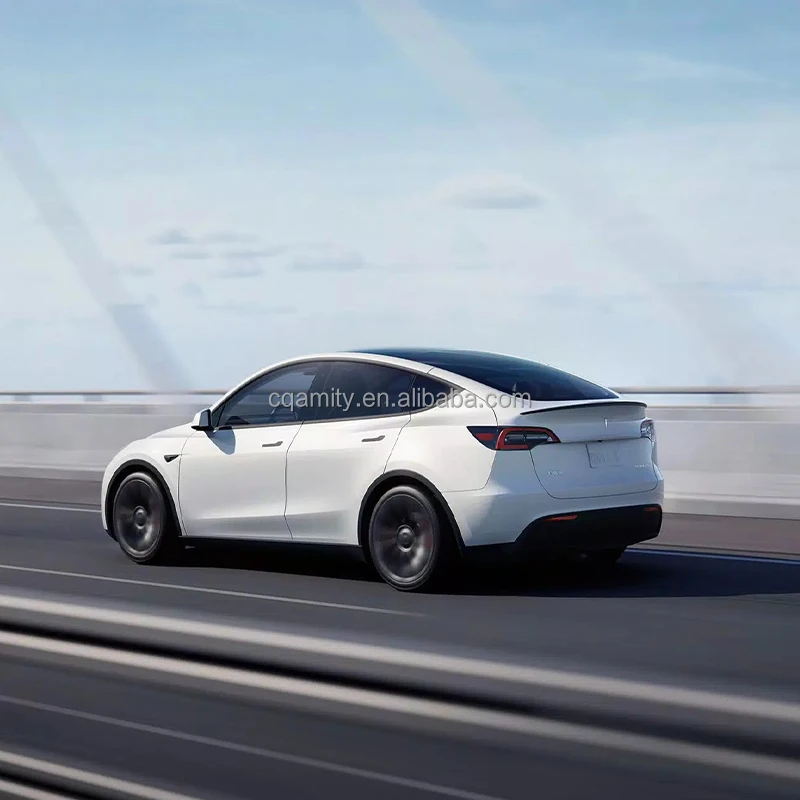 TESAL Model Y (6).jpg