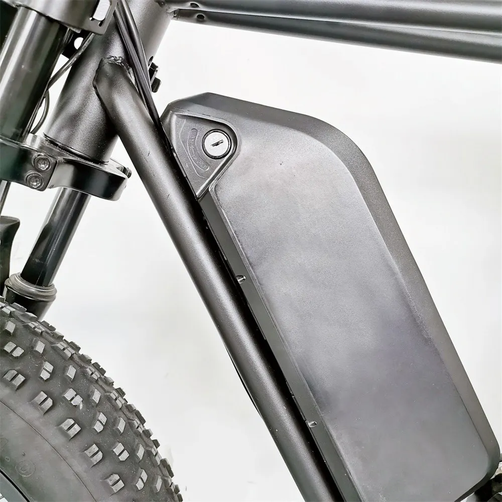 Customization High Speed 48V 1000W Motor C9 Electric Bicycle 20 Inch Fat Tire Off Road Mountain Moped Bike