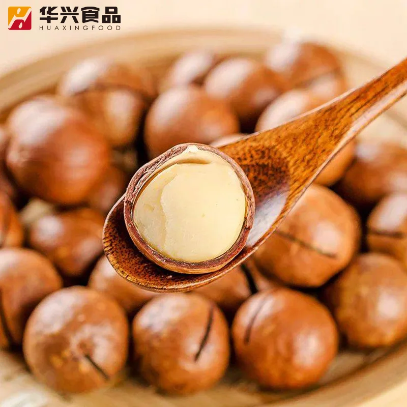 factory Nutrious Macadamia Nuts Export quality From South Africa