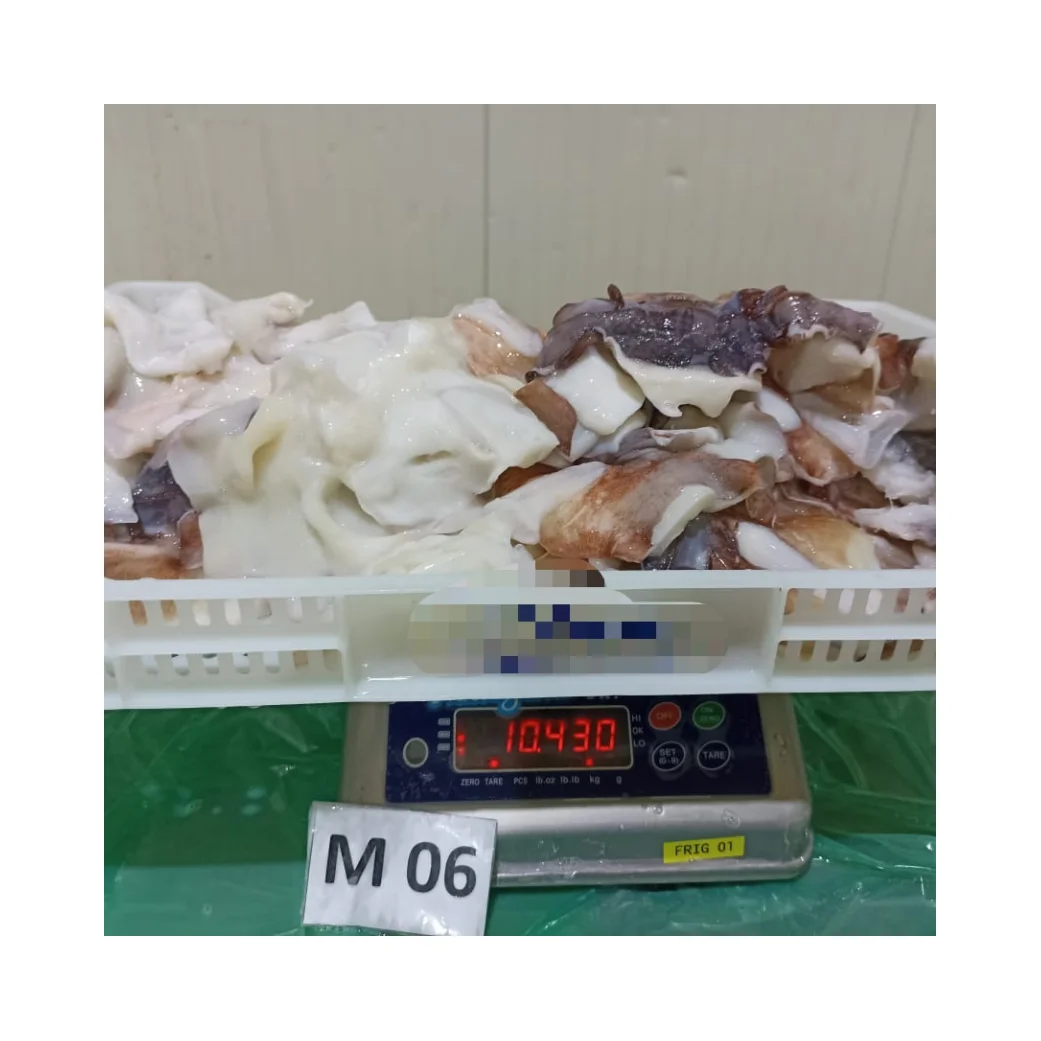 Frozen Giant Squid Fillet with Wings Premium Quality Seafood