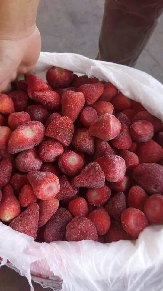 Bulk New Frozen Ball Store Whole Strawberry Fruit From Egypt For Export