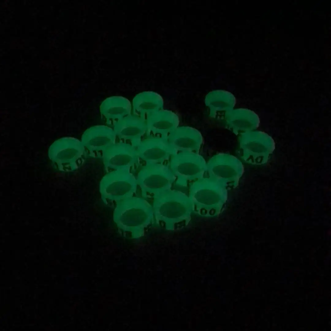 New luminous multi size pigeon rings for sale Pigeon Feet Ring rings for pigeon