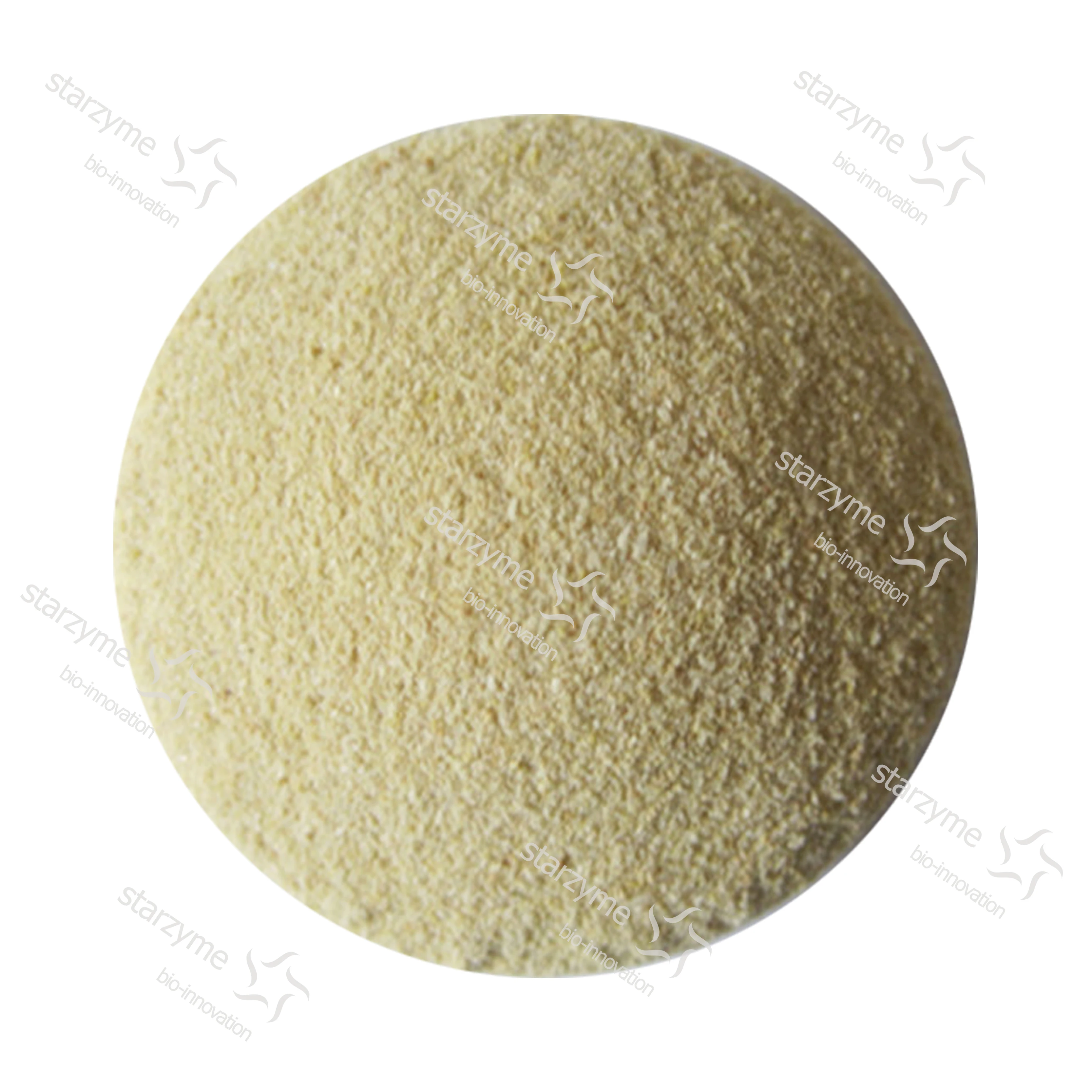 
Lipase Powder Feed Grade Enzyme Factory 