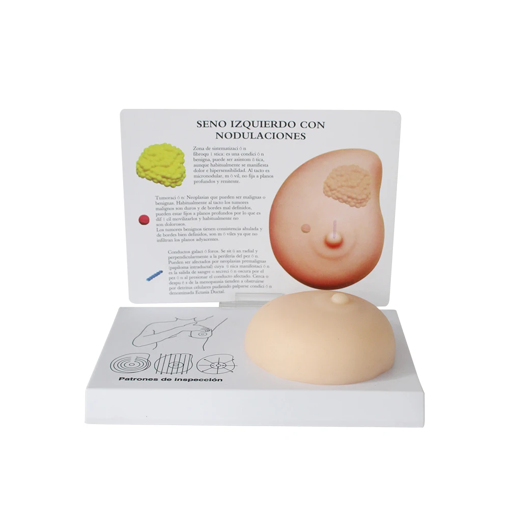 Breast Examination Simulator Milk Guidance Advanced Breast Nursing Practice Model Female Breast Model