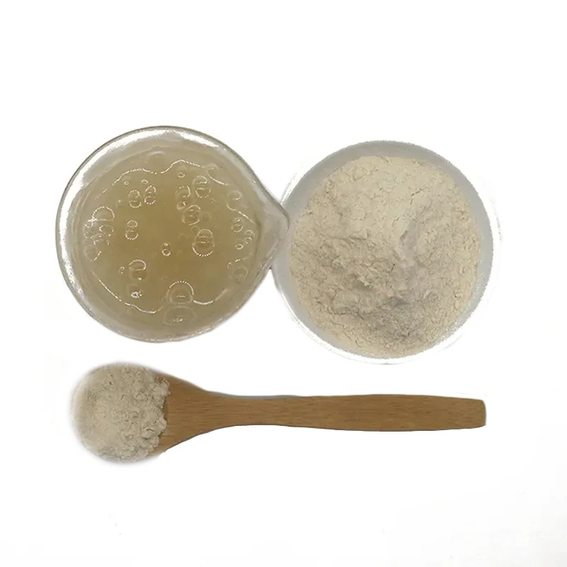 Plantago ovata Extract Natural Psyllium Husk Extract Psyllium Seed Husk Powder