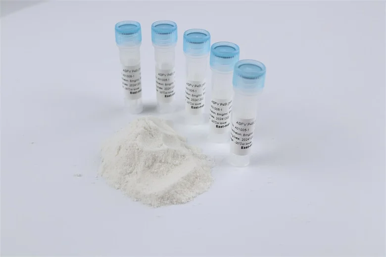 Great Value Good Quality Colorless Recombiant Protein Antibody DENV1 NS1