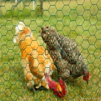 Factory supply galvanized hexagonal mesh fence chicken wire