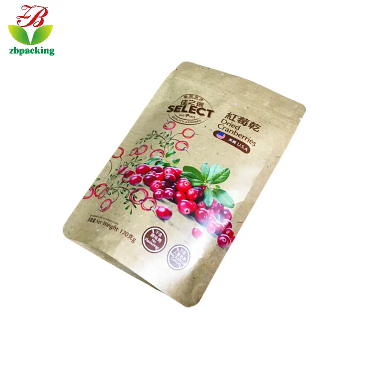100% fully biodegradable compostable kraft paper stand-up bag for dried fruit ziplock bag with EN13432 certificate