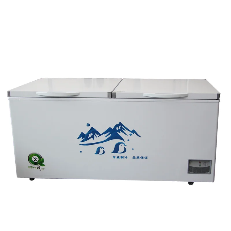 2020 Best Popular Comercial Freezers Horizontal Freezer Big Handle Chest Refrigerator Electric Compressor R134a Double Doors 160