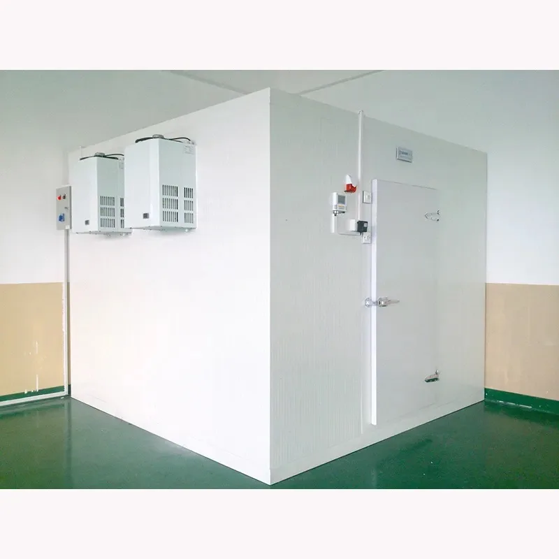 Solar cold storage room with DC inverter compressor