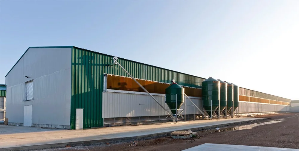 Steel Structure Poultry House Price Is Cheap Prefabricated Steel Frame Chicken House Environmental Protection Chicken Shed