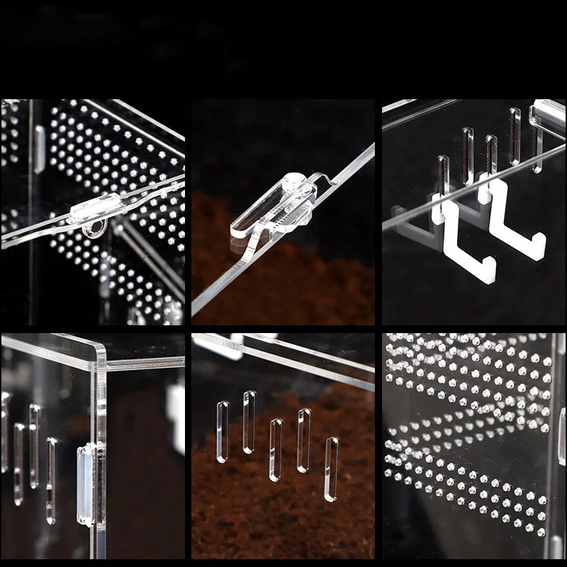 Reptile Small Plastic Feeding Box Terrarium,Reptile Travel Habitat Box For Gecko Frog Spider Snake Baby Lizard