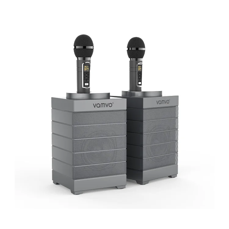 Горячая распродажа! Басов семья KTV 2-в-1 Портативный беспроводной динамик с двойной микрофон/динамик