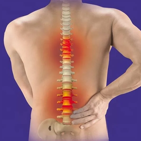 Medical-Grade Adjustable Magnetic Posture Support Back Brace Relieves Neck, Back and Spine Pain