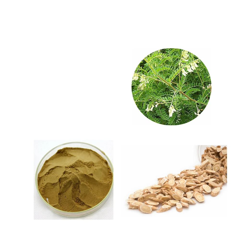 Organic Astragalus Root Powder Astragalus Extract Polvo Cycloastragenol 10:1 Astragalus Membranaceus Polysaccharide Extract