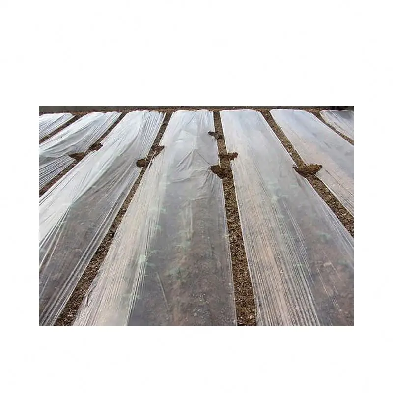 Wholesale Good Quality Greenhouse Film Agricultural