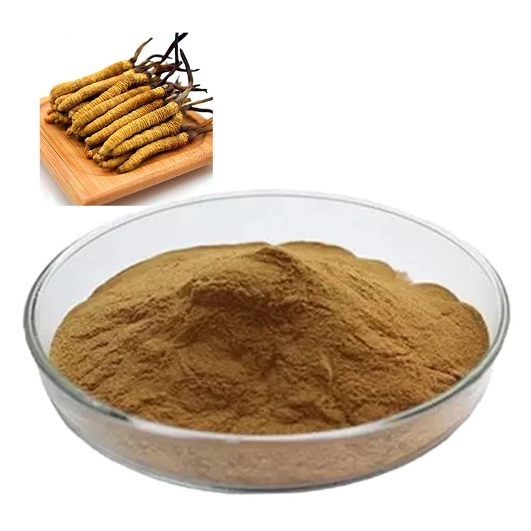 Cordyceps Solvent Extracted Mushroom Powder for Health Food Vacuum Packed Cordyceps Militaris Mushroom Powder