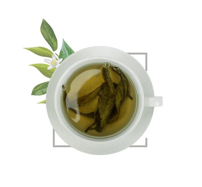 ptivate label Chinese Ku Ding herbal  Holly Leaf Broadleaf  tea